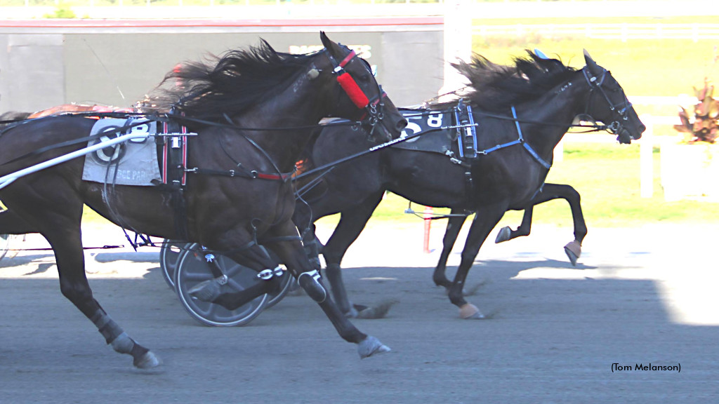 Ranger, Cecere Dominate At Plainridge Thursday