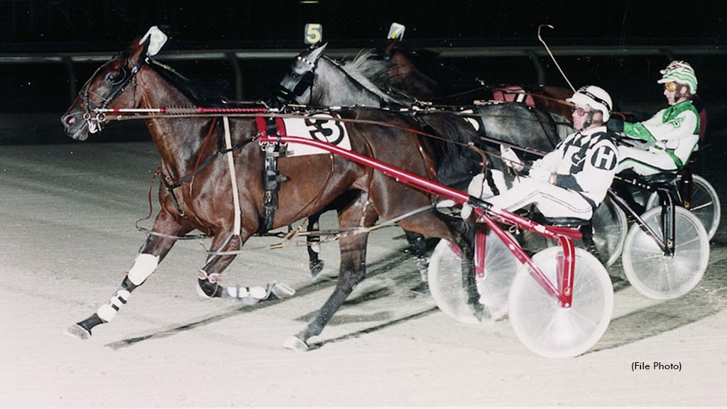 Hiawatha Horse Park An Important Part Of OSS History