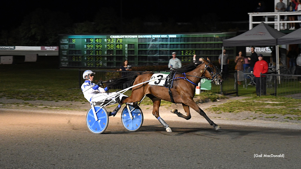 The Streak Continues For Oceanview Rumours