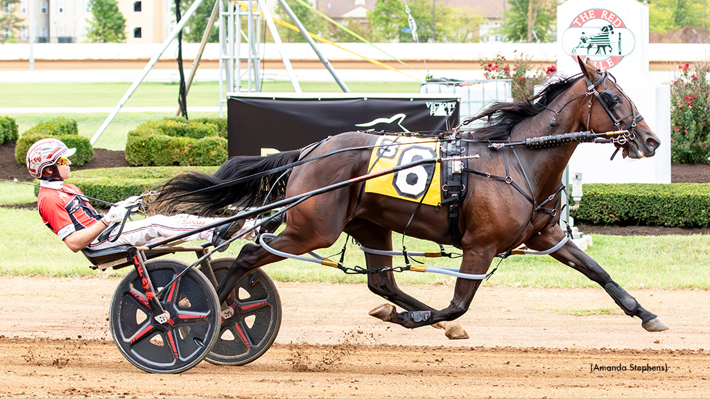 Papi Grad Leads Friday International Stallion Stakes