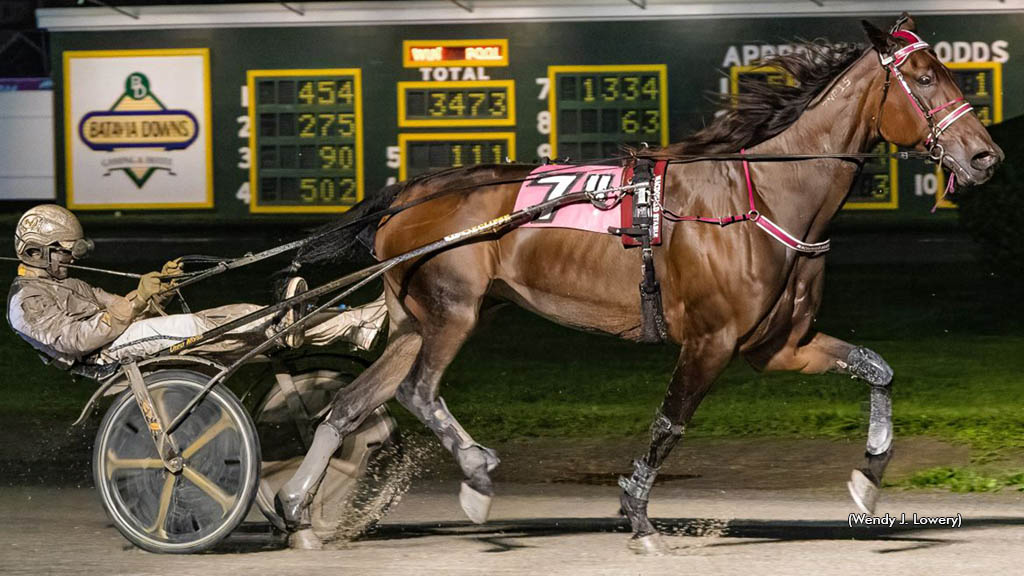 Batavia Opens To Power And Grace, Villiam