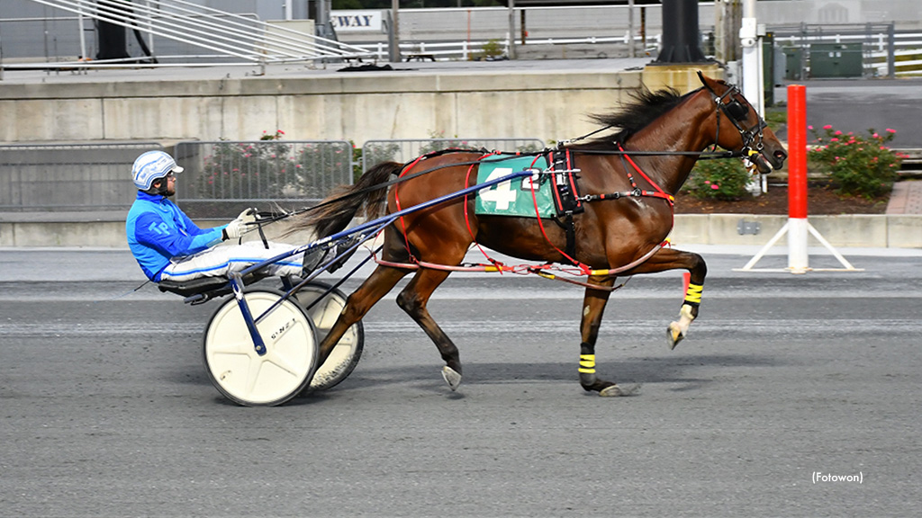 Primo Maschio Remains Undefeated At Harrington