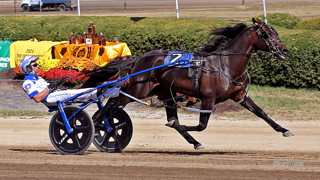 "He's The Best Horse Nobody Knows About"
