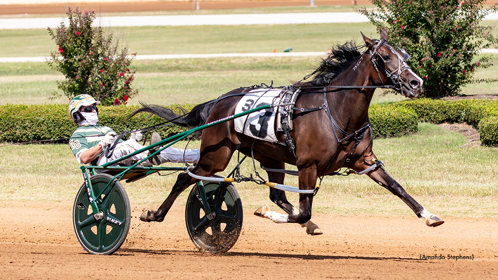 Rose Blooms At The Red Mile