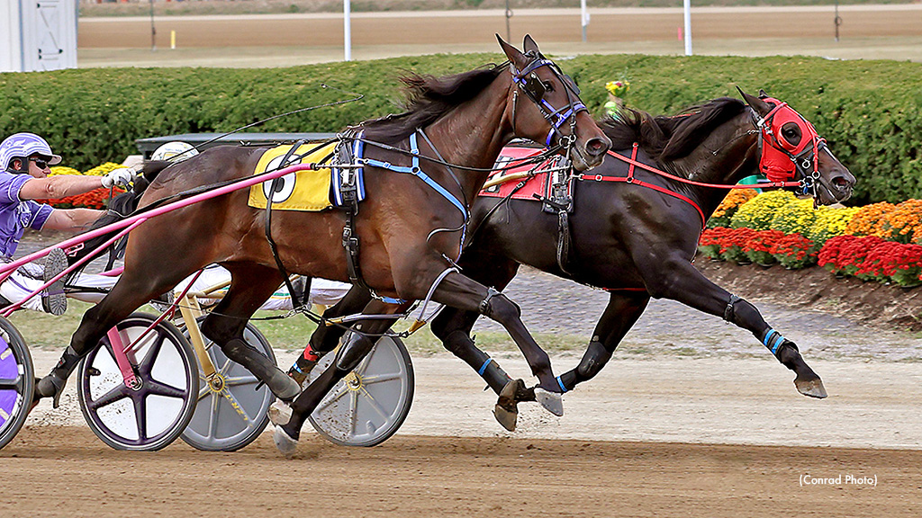 'Scrappy' Was Just That In OBC At Delaware