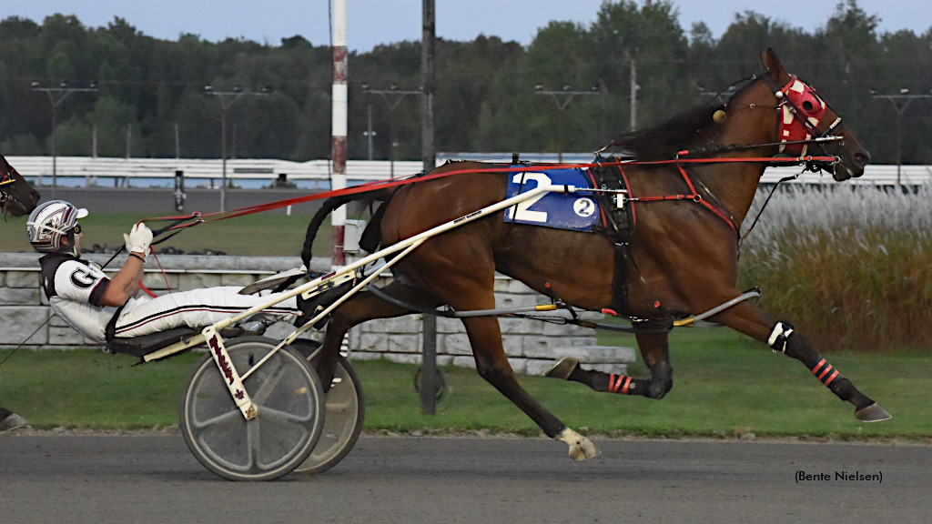 Puddy Deals Three Aces At Rideau
