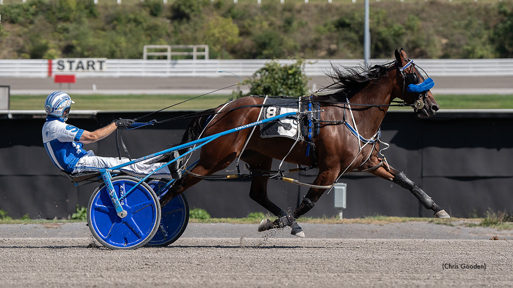 Soft Shot Wins Meadows Top Distaff Pace