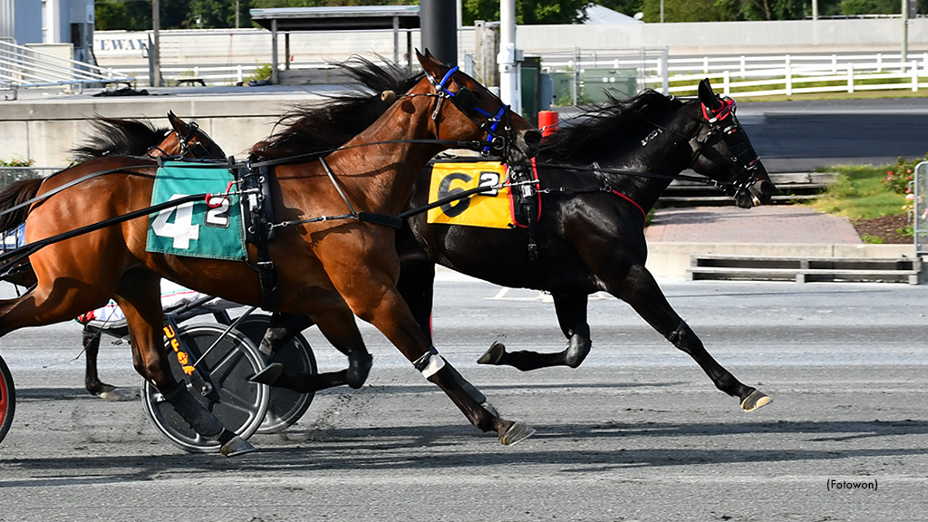 Swan In Motion Wins Harrington Free-For-All Trot