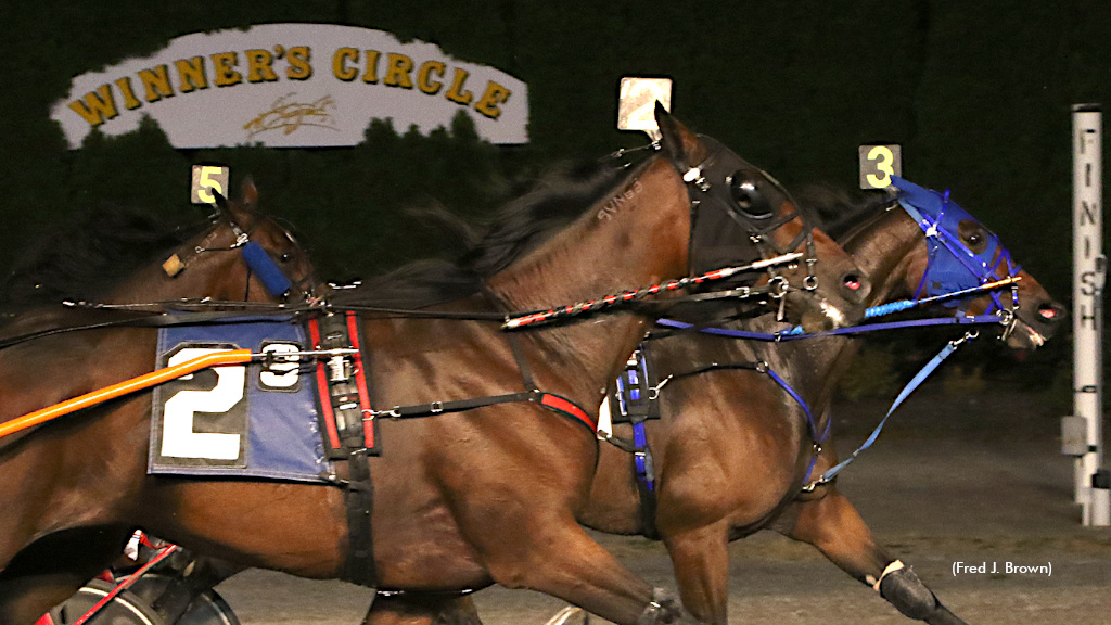 Swans Eye Scores In Tioga Meet Finale