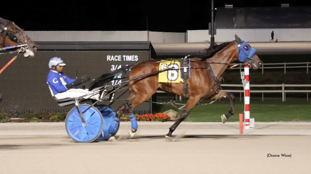 Vekna, Sweet Harmony Three-Peat In Buckeye Series