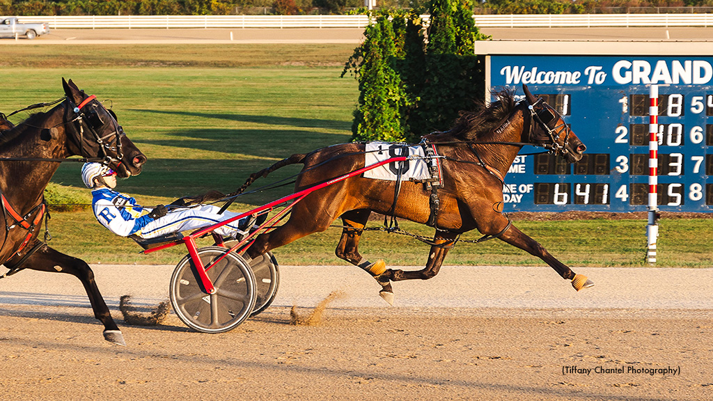 Tellers Choice Deals A Winning Mile In Grassroots