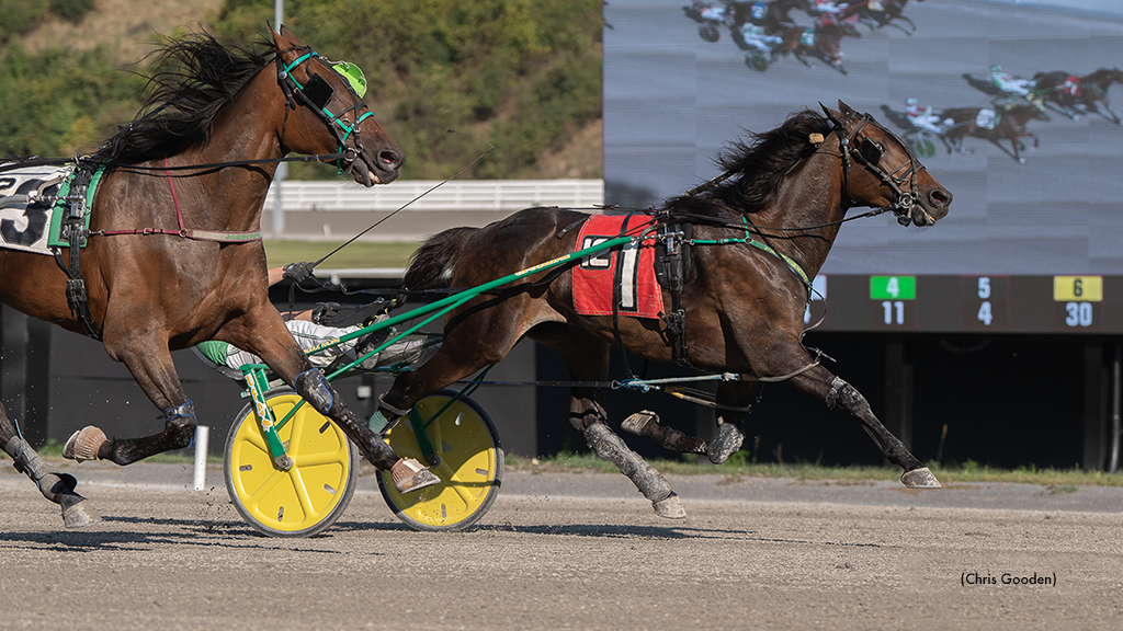 Threepointbluechip First Over To Meadows Win