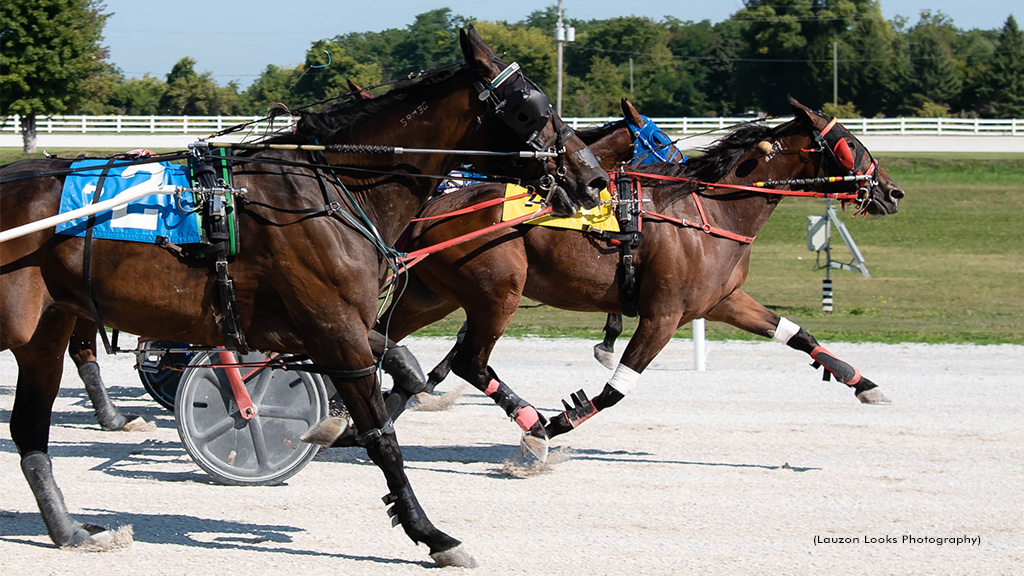 Toscano Girl Leads Five Winners For Rooney At Leamington