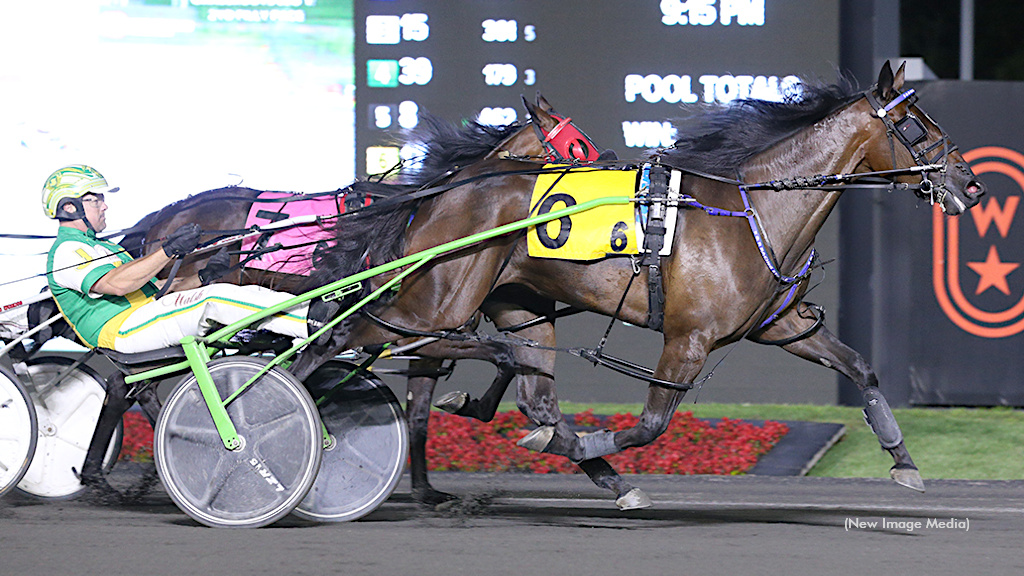 Dion Hopes Tricky Wicky Finds Her Groove Saturday