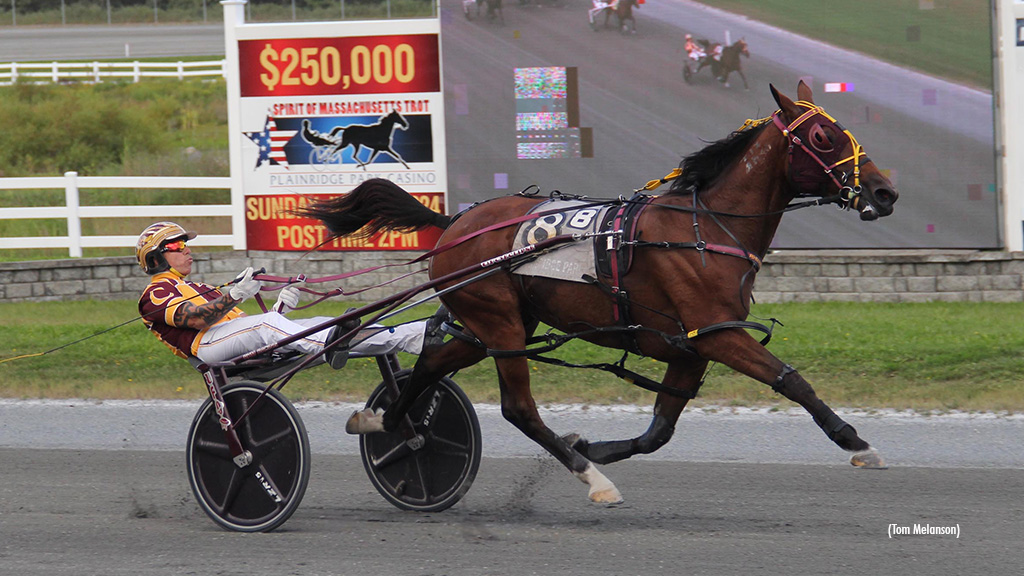 Three Straight For Turn The Page N In Plainridge Open