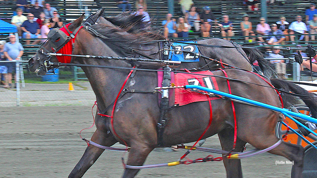 Two Fold Cold Is Unstoppable In Maine Sire Stakes