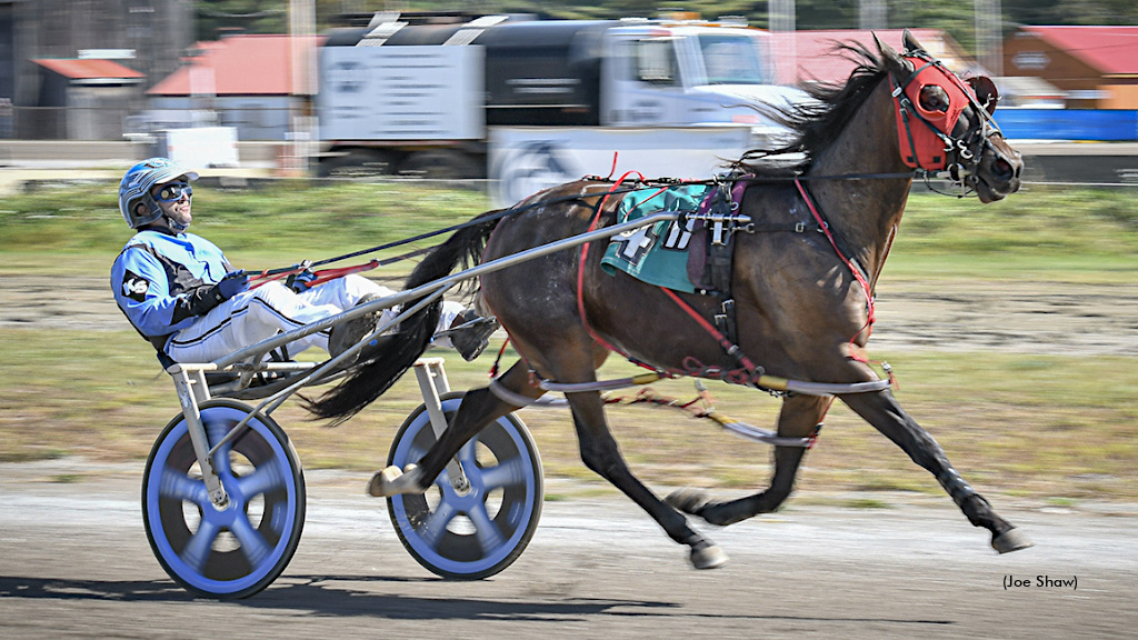 Ten Straight Wins For Two Fold Cold 