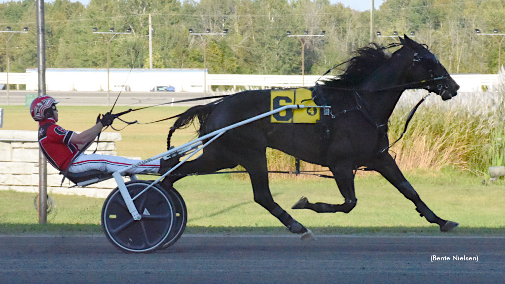 Preferred Three-Peat For Warrawee Xalt