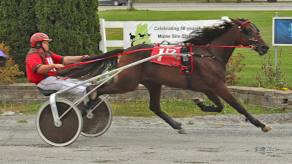 Eight Is Great For Whatawonder In Maine