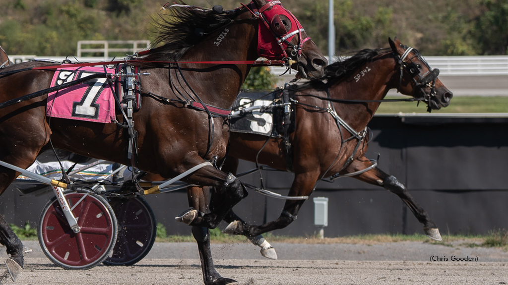 Wild Wild Western Gets Lightning Lane Win In Open