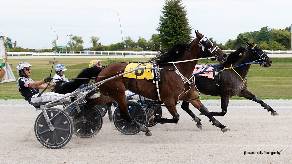 Workinitonbroadway Achieves Milestone At Leamington