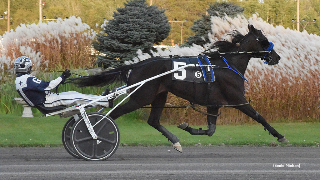 All Wrapped Up Gifted In Rideau Preferred Trot