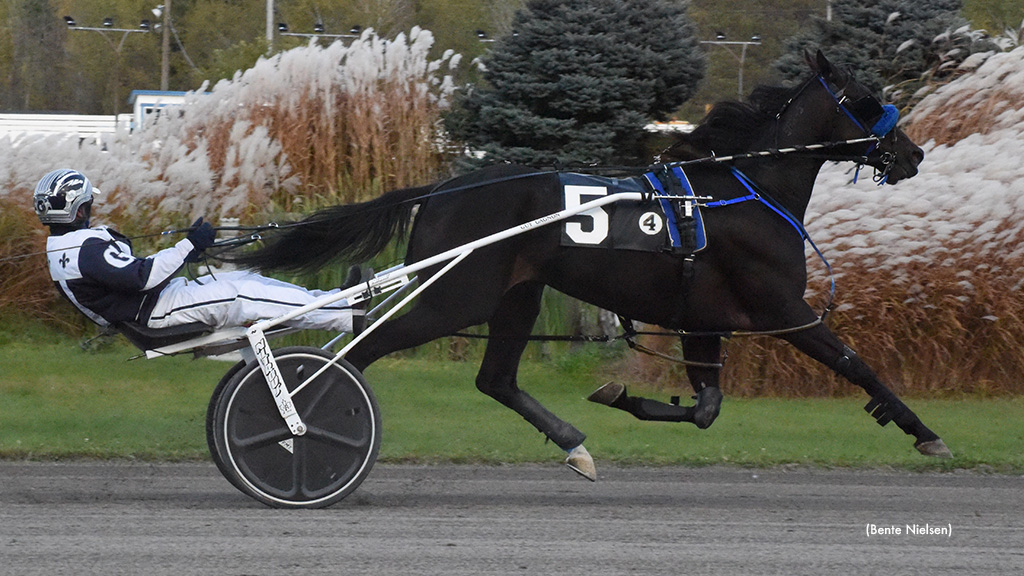 All Wrapped Up Wires Rideau Preferred Trot