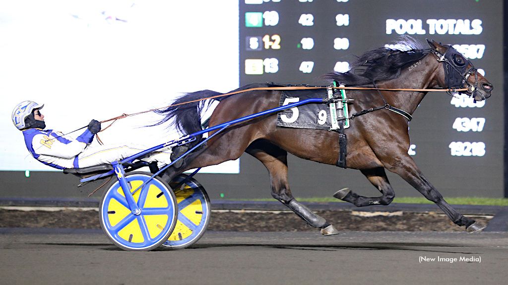 Amigo Volo Repeats In Mohawk Preferred