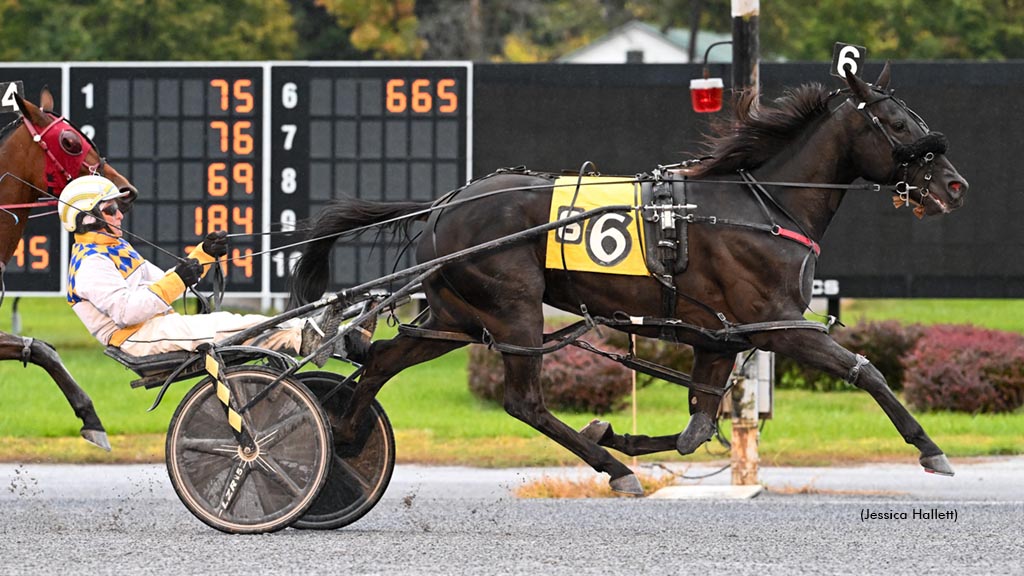 Arizona winning at Saratoga Raceway