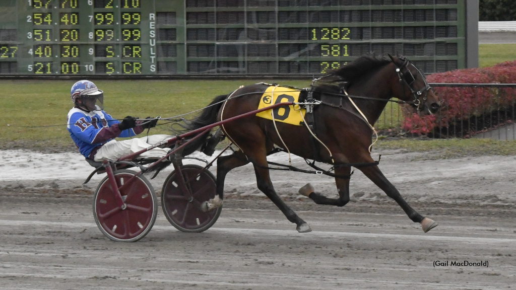 Badgirl Bridgette Makes It Six On Shortened Red Shores Saturday 
