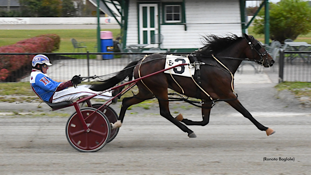 It's Good To Be Badgirl Bridgette