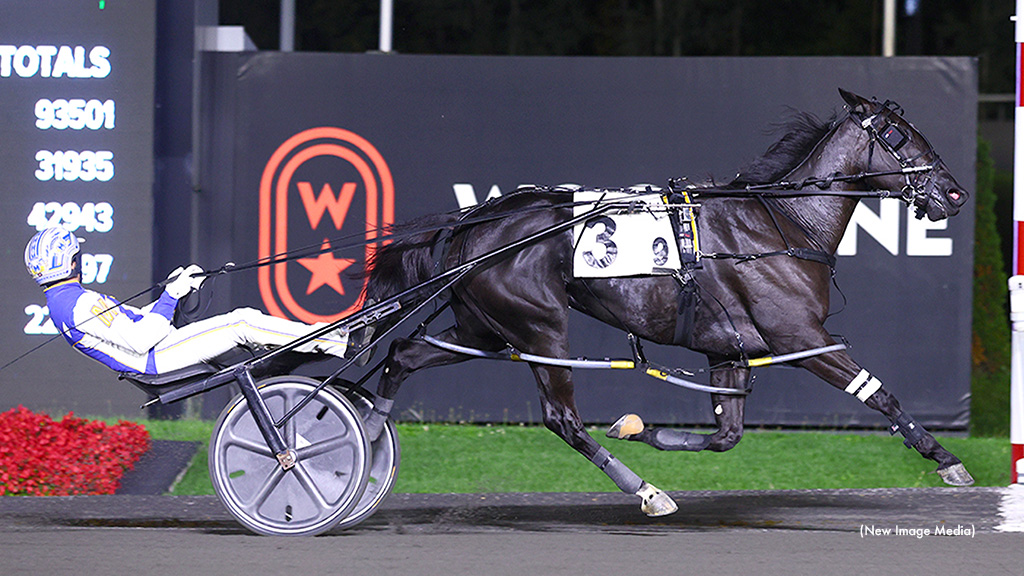 Chantilly Remains Perfect In OSS Gold