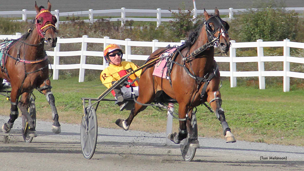 Charlie May Jogs At Plainridge