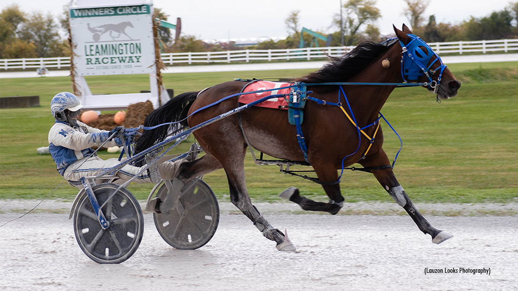 Duke Deo Leads Five Winners For Steward At Leamington