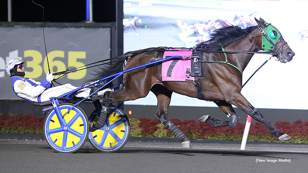 Fashion Contender Takes Mohawk Thursday Feature