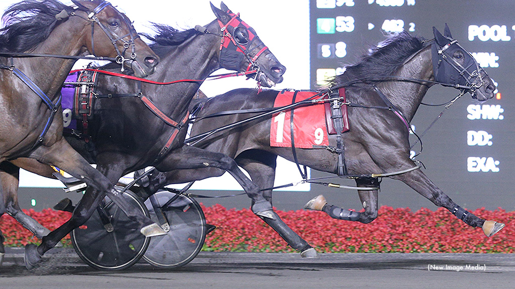Fashion Frenzie Prevails In Mohawk Preferred Trot