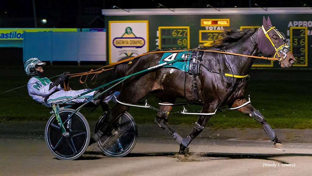 Forgot Thewallet A Grabbed The Purse In Batavia Feature