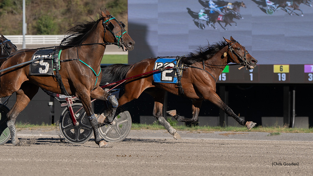 Lexi B Strong In Meadows Feature