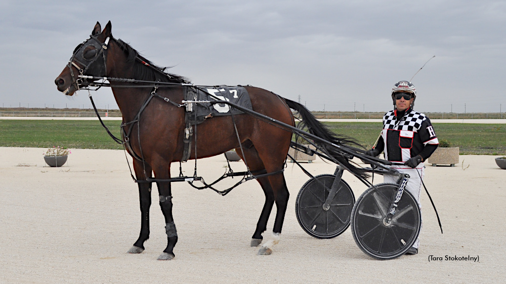 Litizor Large In Loop Open Saturday