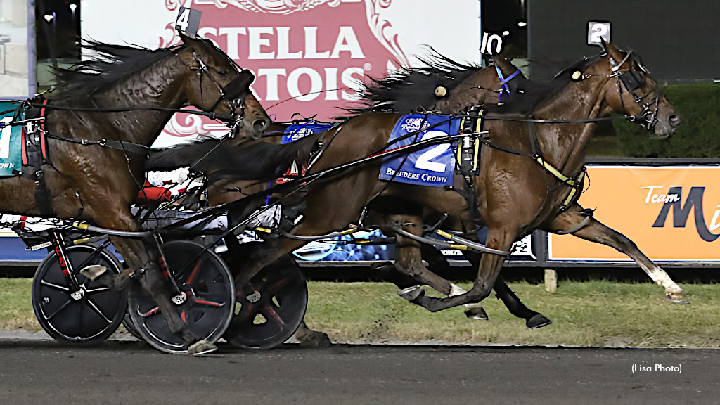 Sophomore Pacing Fillies Target FanDuel Success
