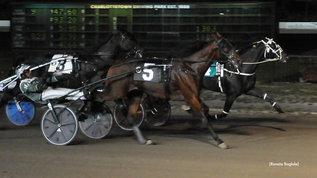 Doyle Stable Stomps In Charlottetown