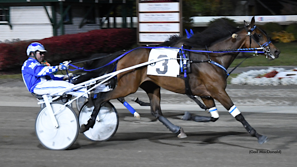 Oceanview Nikki Sets Track Record In Maritime Breeders