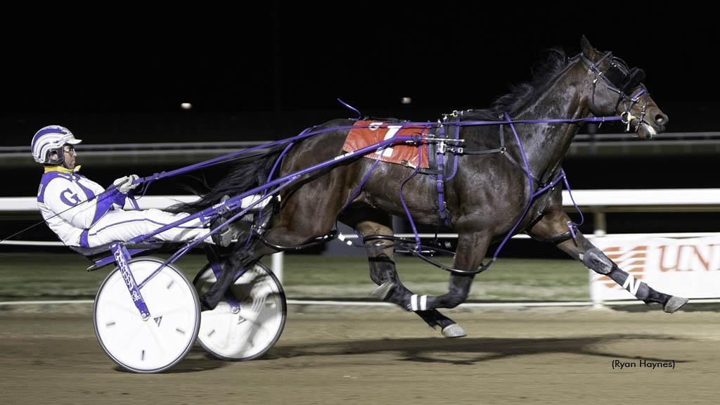 Rookie Stars Shine In Alberta Sires Stakes
