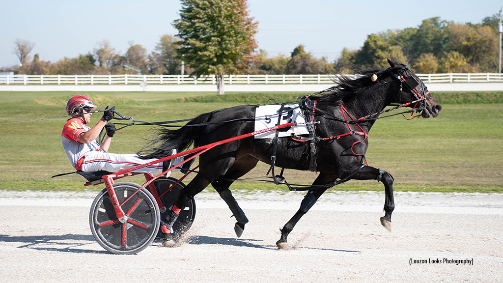 Petro Angel Beats The Boys In Leamington Preferred