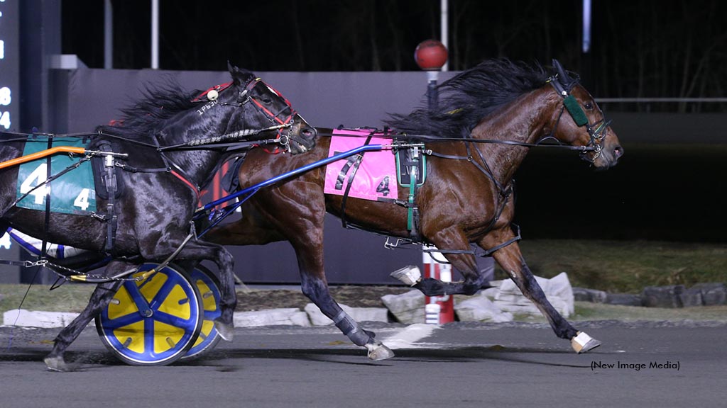 R Royal Port Collects Another Preferred Win At Flamboro
