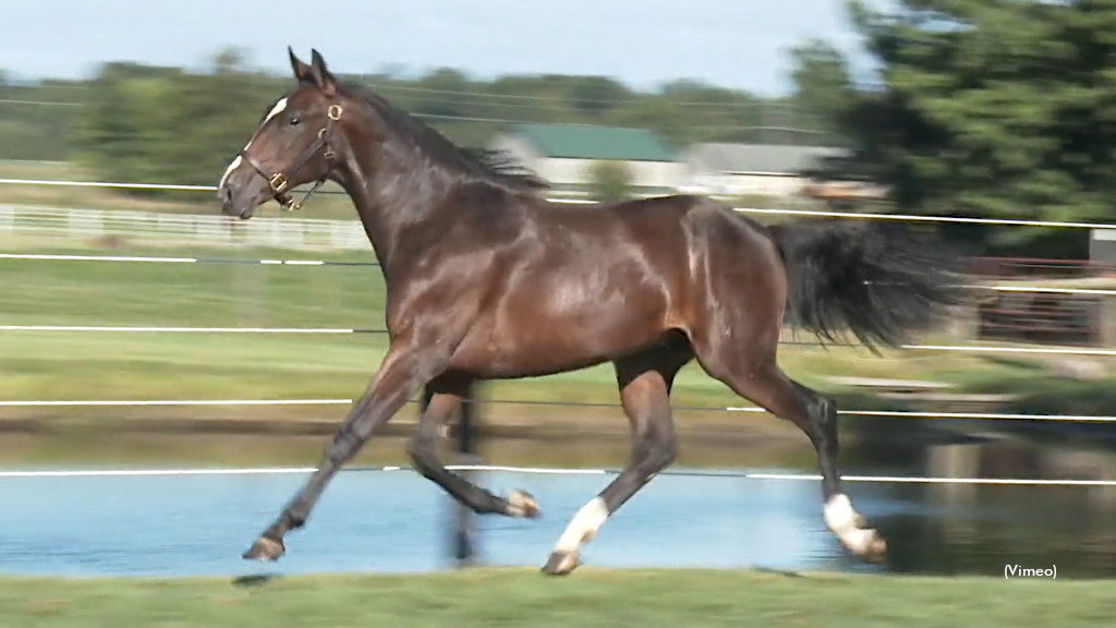 Hoosier Classic Yearling Sale Complete