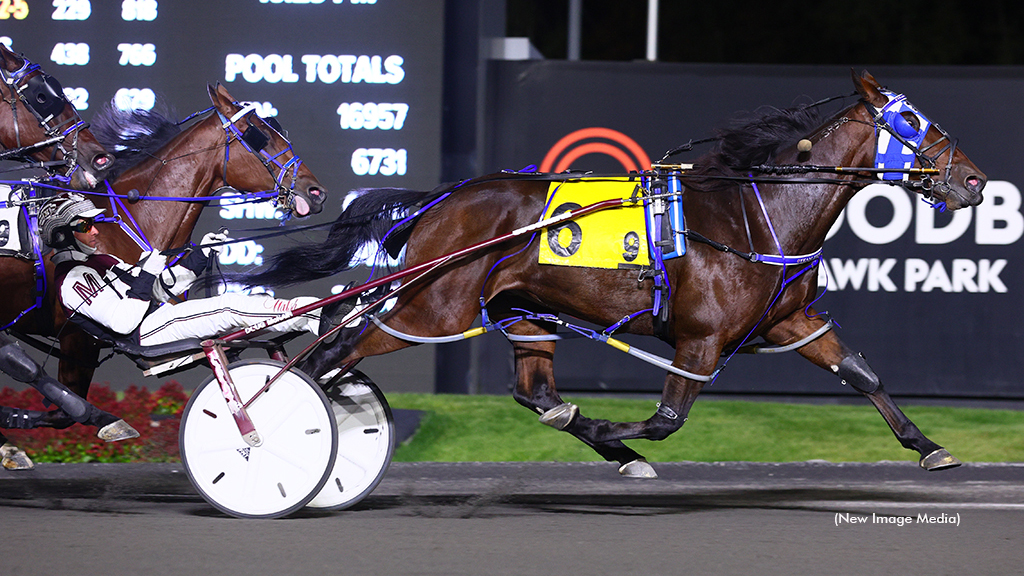 Shes Got It All Tackles Preferred Mares At Mohawk