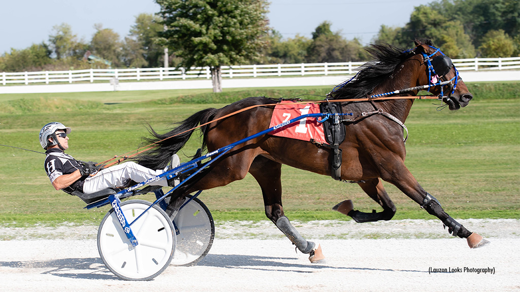 Shouldaknownbetter Best In Leamington Preferred