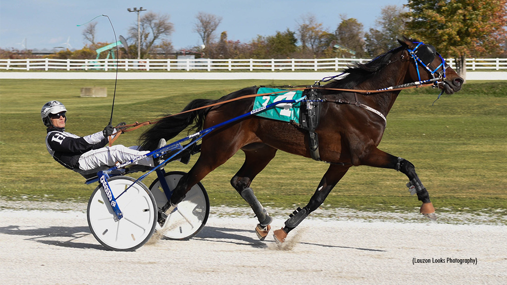 Shouldaknownbetter Fends Off Leamington Trotters