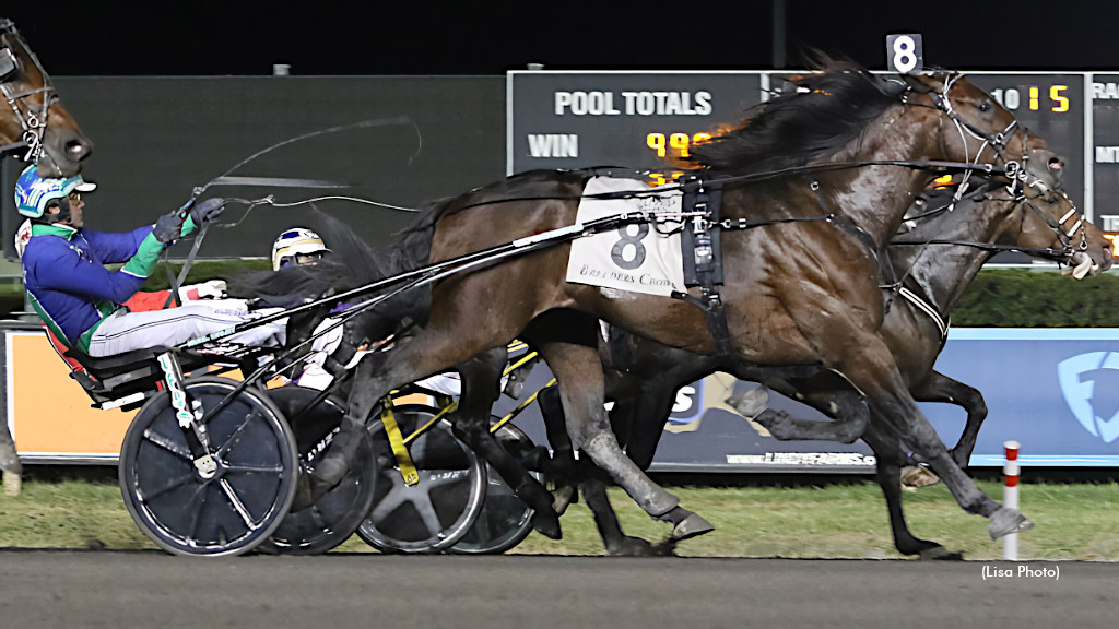 Sig Sauer Gets Up To Go Out A Breeders Crown Champ